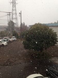 綿雪舞う（なごり雪）